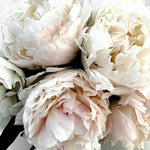 White Peonies